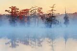 Misty Lake Martin At Sunrise_25742